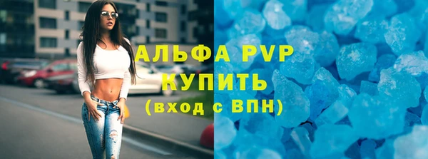 индика Нефтекумск