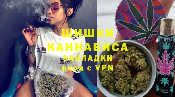 индика Нефтекумск