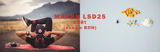 амф Новокубанск