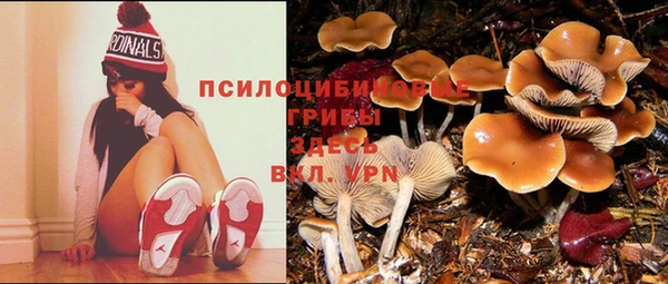 индика Нефтекумск