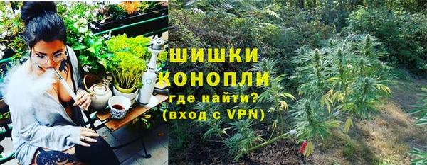 амф Новокубанск