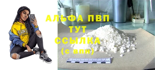 индика Нефтекумск