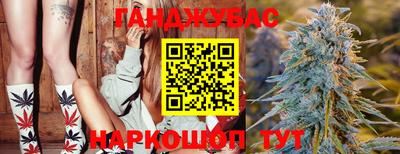 крисы Беслан