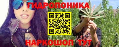 эйфоретик Бузулук