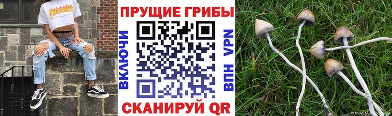 ссылка на мегу онион  Ипатово  Галлюциногенные грибы GOLDEN TEACHER 