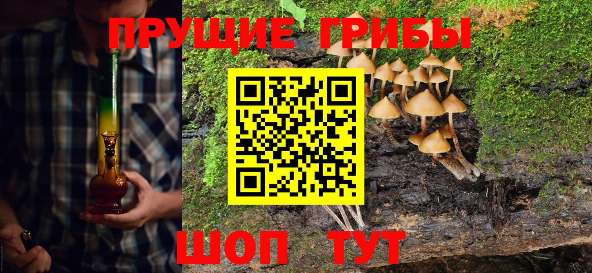 Псилоцибиновые грибы Psilocybe  Вход с VPN  Ипатово 